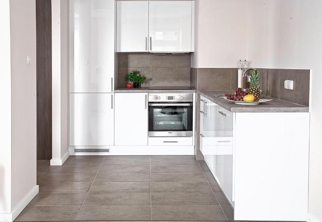 Platinum Apartament