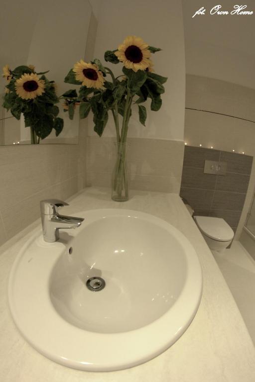 Apartament Platinum *